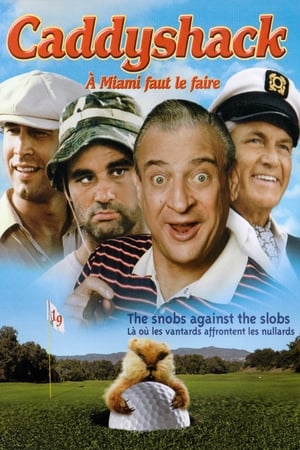 Le golf en folie - Caddyshack (1980)