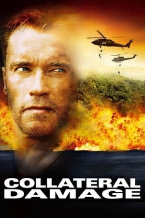 Daune colaterale - Collateral Damage (2002)