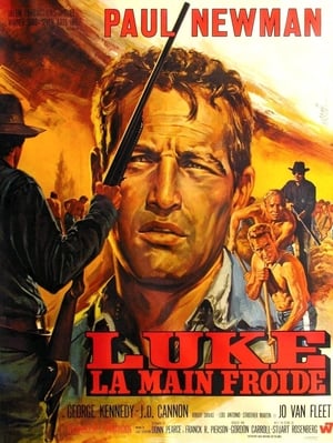 luke la main froide - Cool Hand Luke (1967)