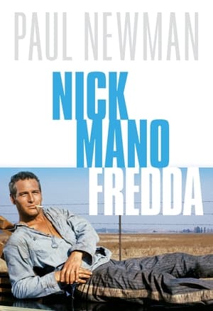 Nick mano fredda - Cool Hand Luke (1967)