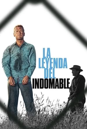 La leyenda del indomable - Cool Hand Luke (1967)