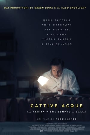 Cattive acque - Dark Waters (2019)