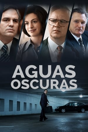 El Precio de la Verdad - Dark Waters (2019)