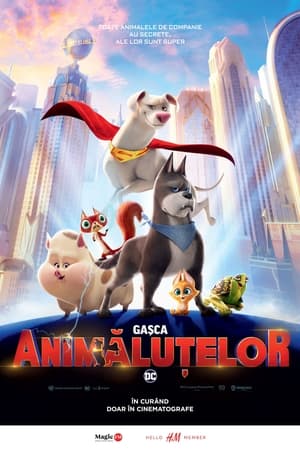 Gașca Animăluțelor DC - DC League of Super-Pets (2022)