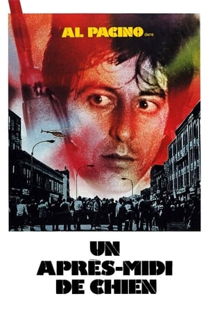 Un après-midi de chien - Dog Day Afternoon (1975)