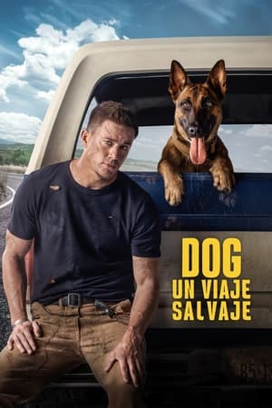 Dog - Un viaje salvaje - Dog (2022)