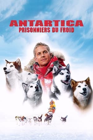 Huit en dessous - Eight Below (2006)