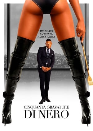 Cinquanta sbavature di nero - Fifty Shades of Black (2016)