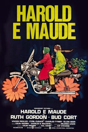 Harold e Maude - Harold and Maude (1971)