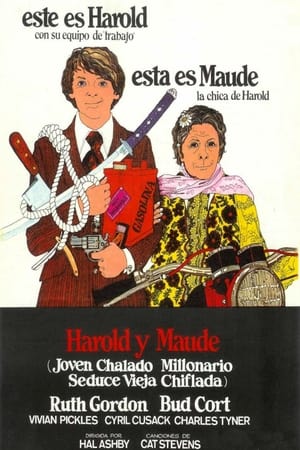 Harold y Maude - Harold and Maude (1971)