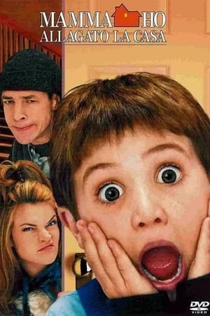 Mamma, ho allagato la casa - Home Alone 4 (2002)