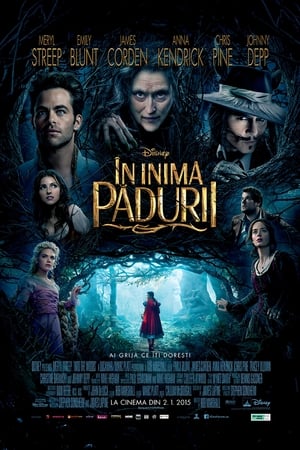 În inima pădurii - Into the Woods (2014)