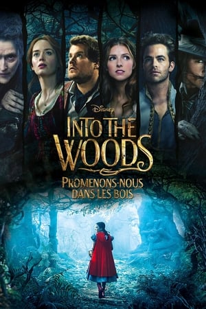 Into the Woods : Promenons-nous dans les bois - Into the Woods (2014)