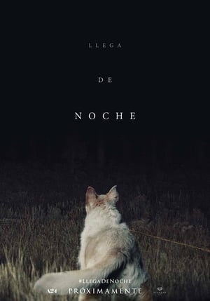 Viene de noche - It Comes at Night (2017)