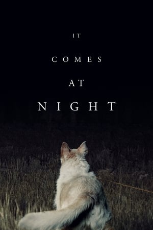 Vine când este noapte - It Comes at Night (2017)
