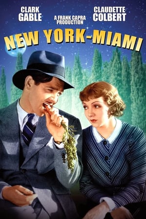 New York - Miami - It Happened One Night (1934)