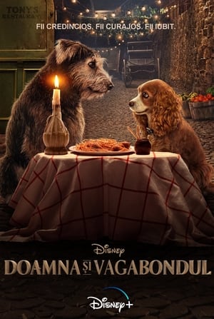 Doamna Și Vagabondul - Lady and the Tramp (2019)