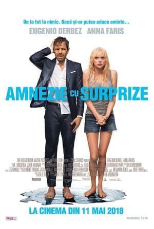 Amnezie cu surprize - Overboard (2018)