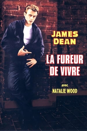 La fureur de vivre - Rebel Without a Cause (1955)