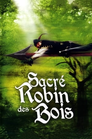 Robin des bois: Héros en collants - Robin Hood: Men in Tights (1993)