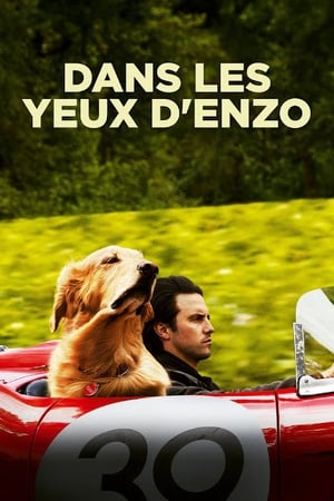 L'art de courir sous la pluie - The Art of Racing in the Rain (2019)