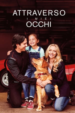 Attraverso i miei occhi - The Art of Racing in the Rain (2019)