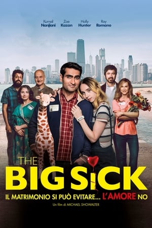 The Big Sick - Il matrimonio si può evitare... l'amore no - The Big Sick (2017)