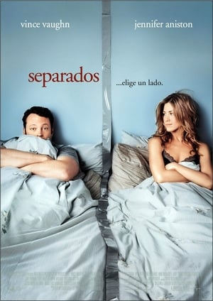 Viviendo con mi ex - The Break-Up (2006)