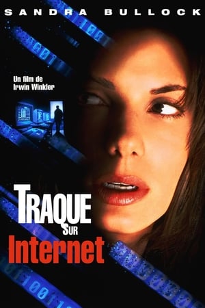 Accès: Interdit - The Net (1995)