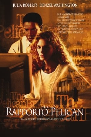 Il rapporto Pelican - The Pelican Brief (1993)