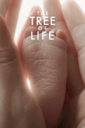 Copacul vieții - The Tree of Life (2011)