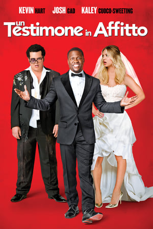 Un testimone in affitto - The Wedding Ringer (2015)