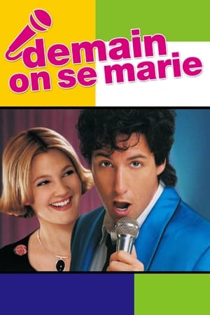 Le chanteur de noces - The Wedding Singer (1998)