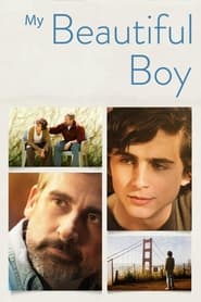 Un garçon magnifique - Beautiful Boy (2018)