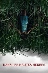 Dans les hautes herbes - In the Tall Grass (2019)