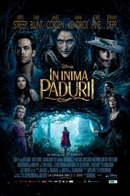 În inima pădurii - Into the Woods (2014)