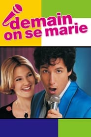 Le chanteur de noces - The Wedding Singer (1998)