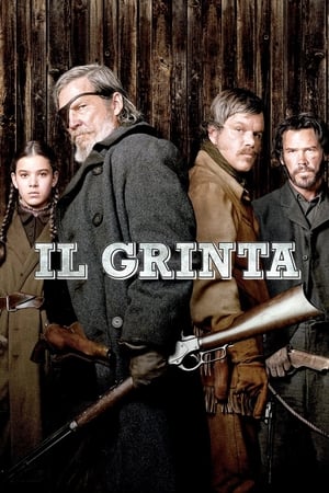 Il Grinta - True Grit (2010)