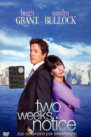 Two Weeks Notice - Due settimane per innamorarsi - Two Weeks Notice (2002)