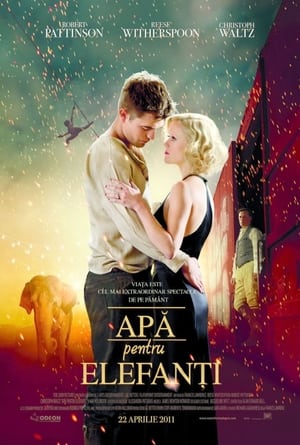 Apă pentru elefanți - Water for Elephants (2011)