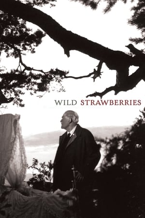 Fragii sălbatici - Wild Strawberries (1957)