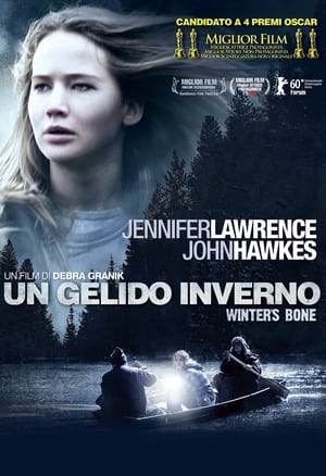 Un gelido inverno - Winter's Bone (2010)