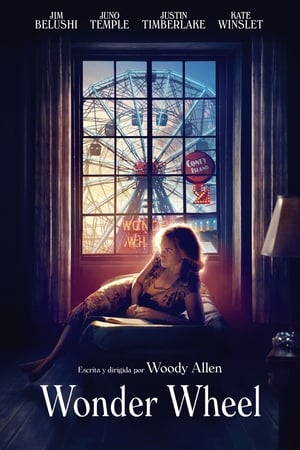 La rueda de la maravilla - Wonder Wheel (2017)