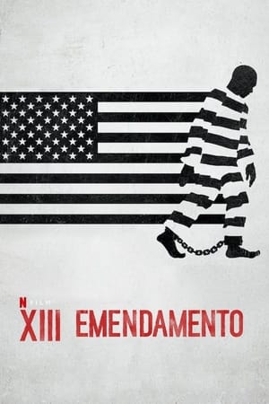 XIII emendamento - 13th (2016)