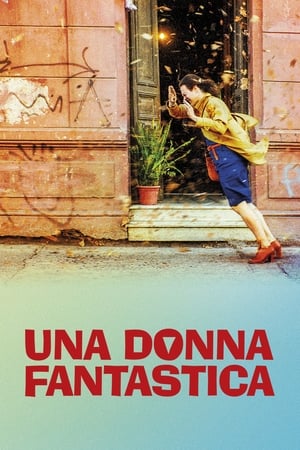 Una donna fantastica - A Fantastic Woman (2017)