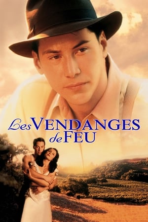 Les vendanges de feu - A Walk in the Clouds (1995)