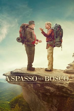 A spasso nel bosco - A Walk in the Woods (2015)