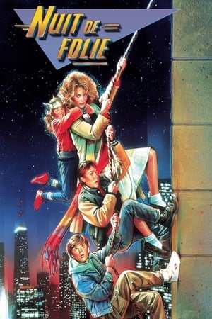 Escapade d'un soir - Adventures in Babysitting (1987)