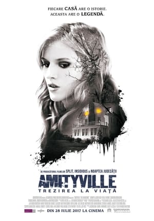 Amityville: Trezirea la viață - Amityville: The Awakening (2017)