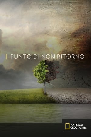 Punto di non ritorno - Before the Flood - Before the Flood (2016)